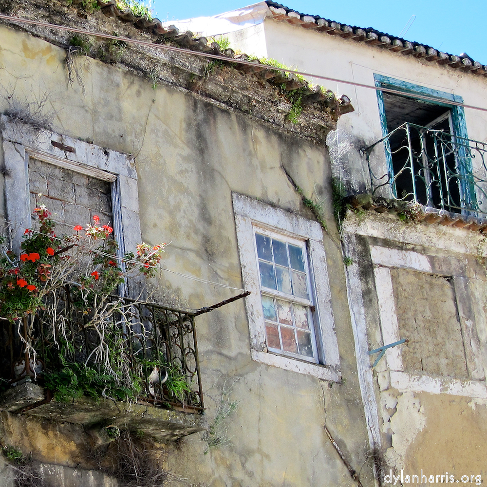 image: This is &lsquo;lisbon (ii) 10&rsquo;.