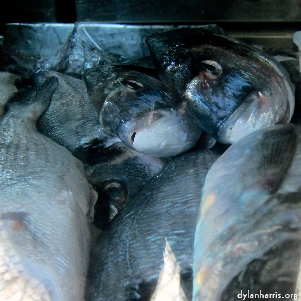 image: This is &lsquo;lisbon (ii) 4&rsquo;.