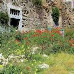 image: Image from the photoset &lsquo;lisbon (ii)&rsquo;.