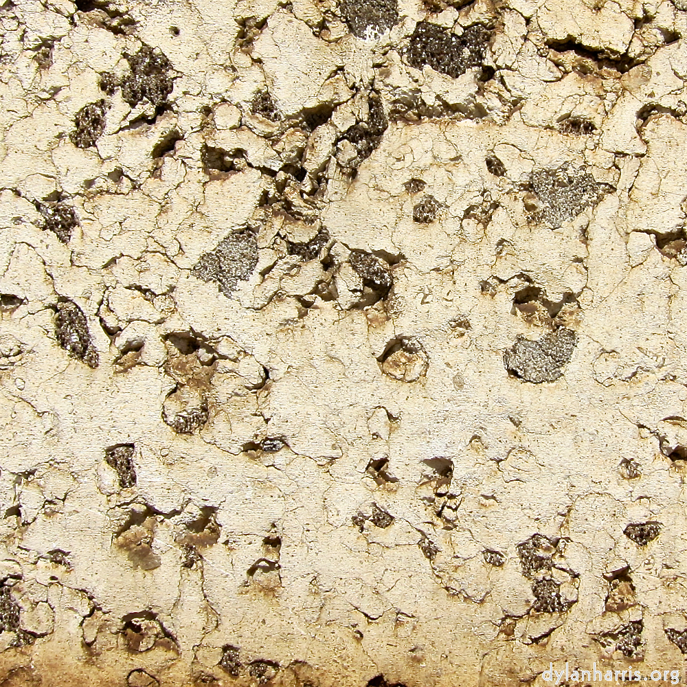 image: This is &lsquo;lisbon (iii) 6&rsquo;.