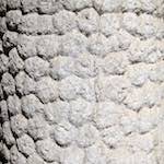 image: Image from the photoset &lsquo;lisbon (iv)&rsquo;.