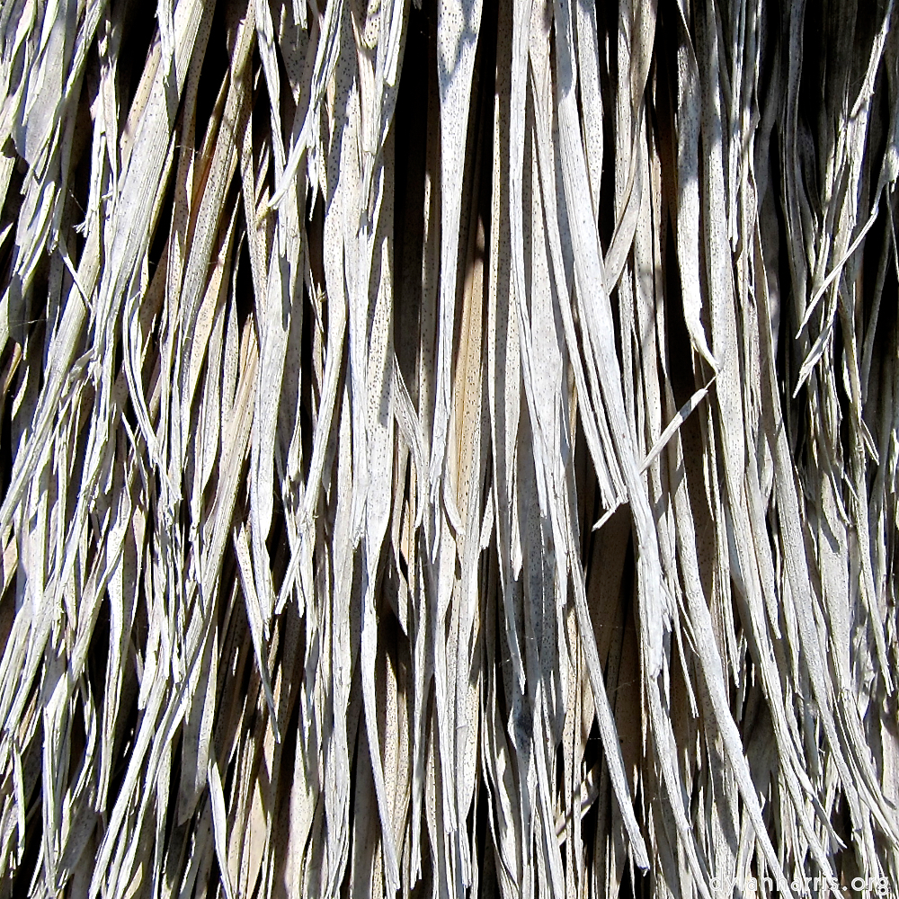 image: This is &lsquo;parc (xxix) 3&rsquo;.