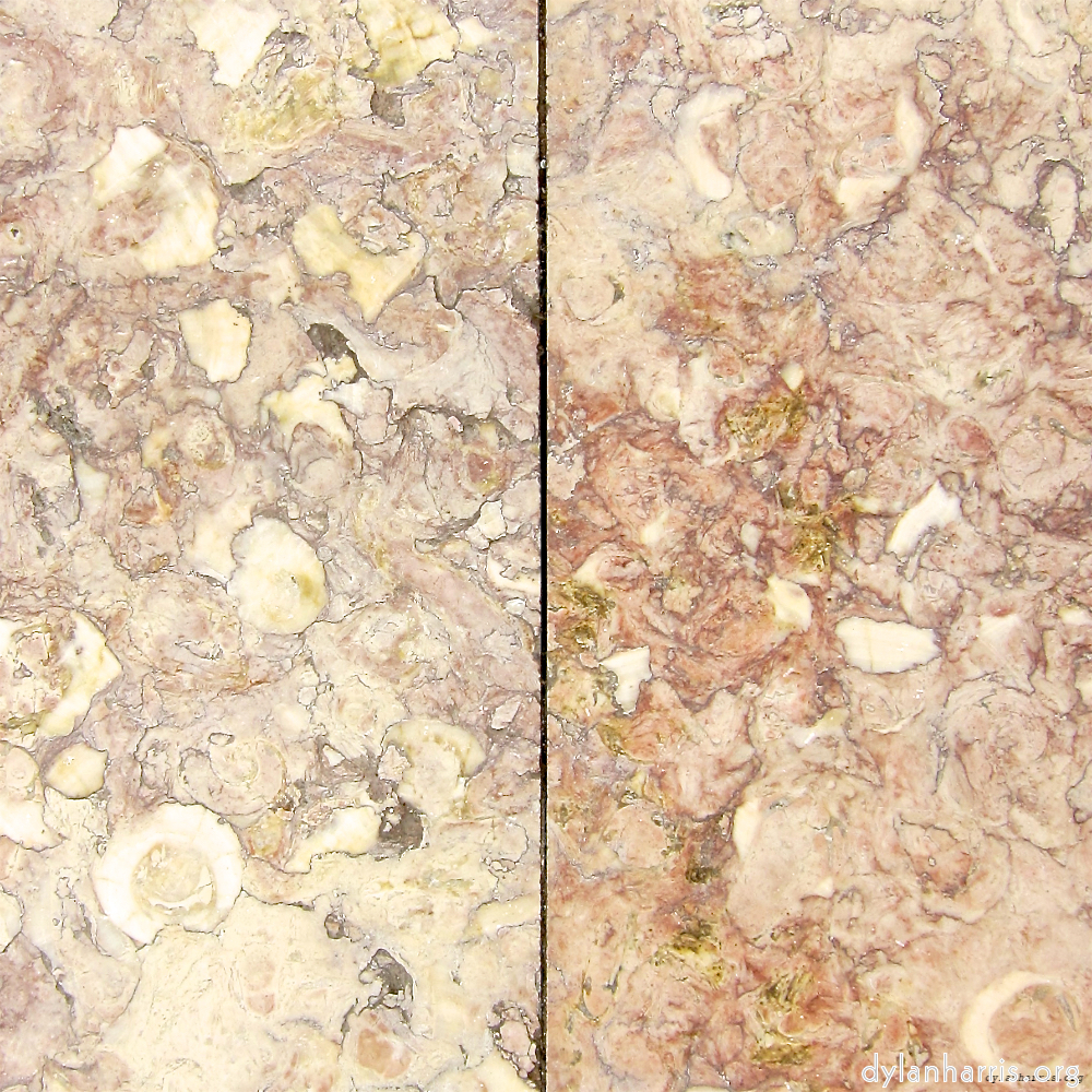 image: This is &lsquo;lisbon (v) 10&rsquo;.