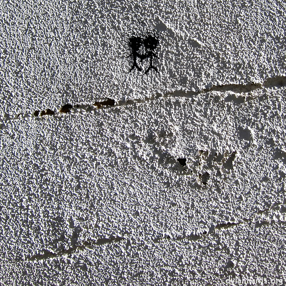 image: This is &lsquo;lisbon (v) 4&rsquo;.