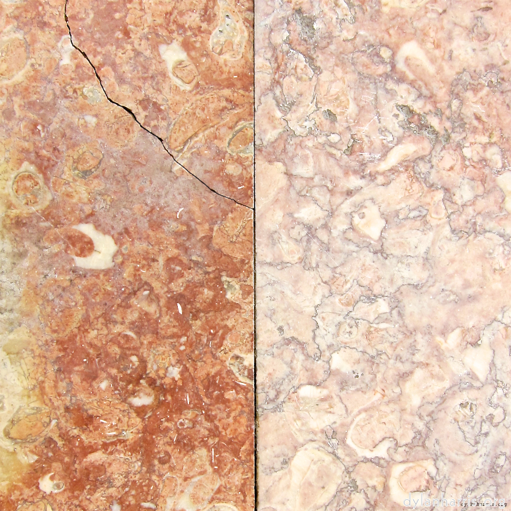 image: This is &lsquo;lisbon (v) 5&rsquo;.