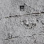 image: Image from the photoset &lsquo;lisbon (v)&rsquo;.