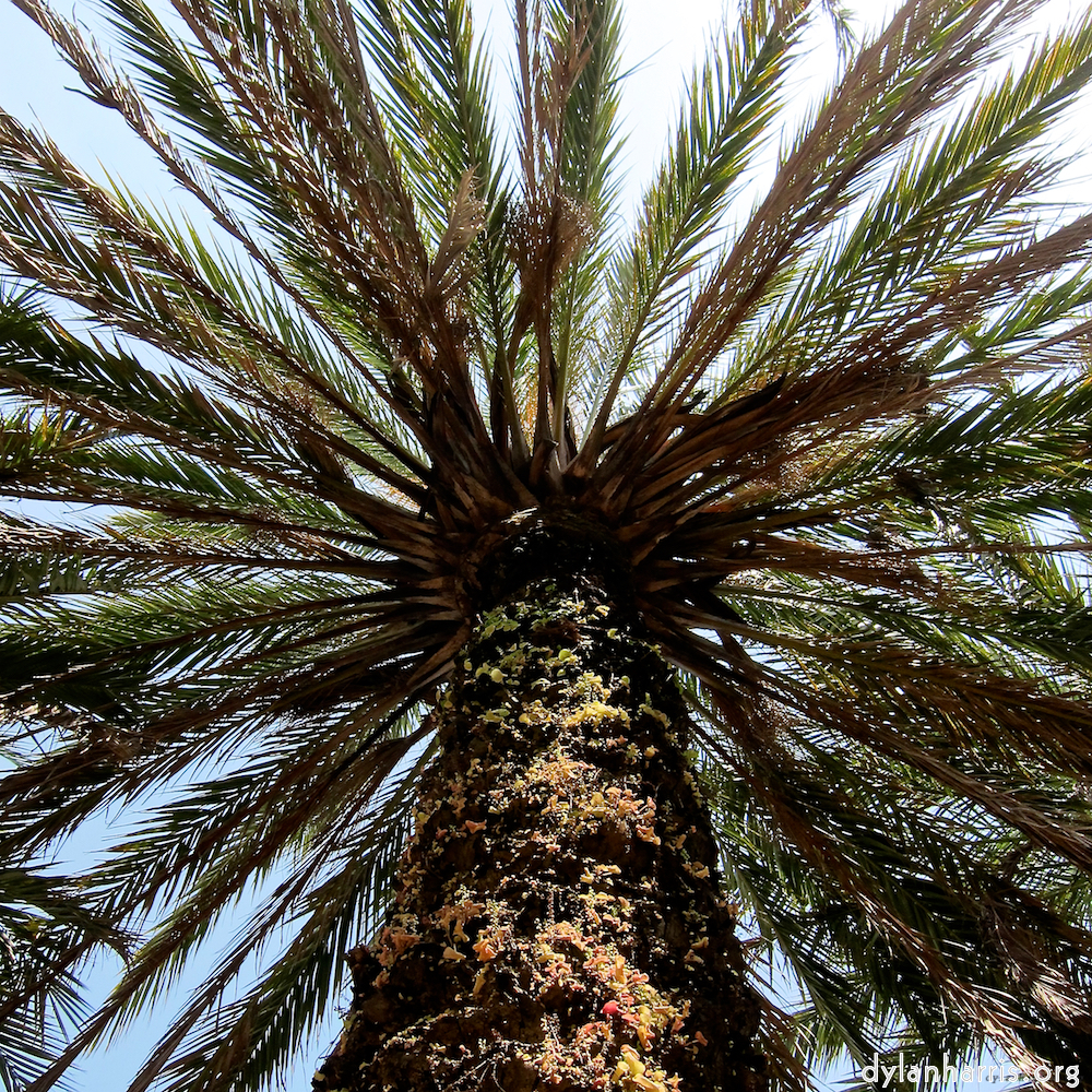 Image: Image 'parc (xxx) 1'.