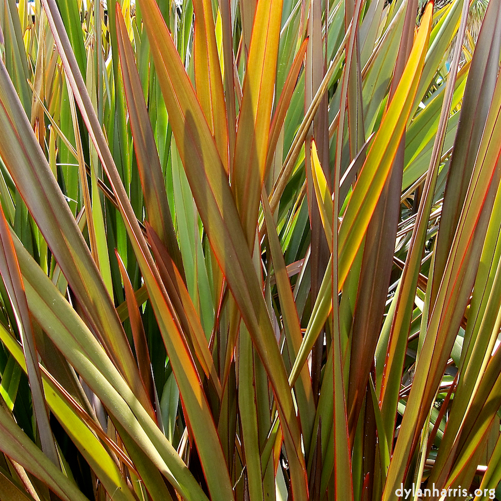 Image: Image 'parc (xxx) 10'.