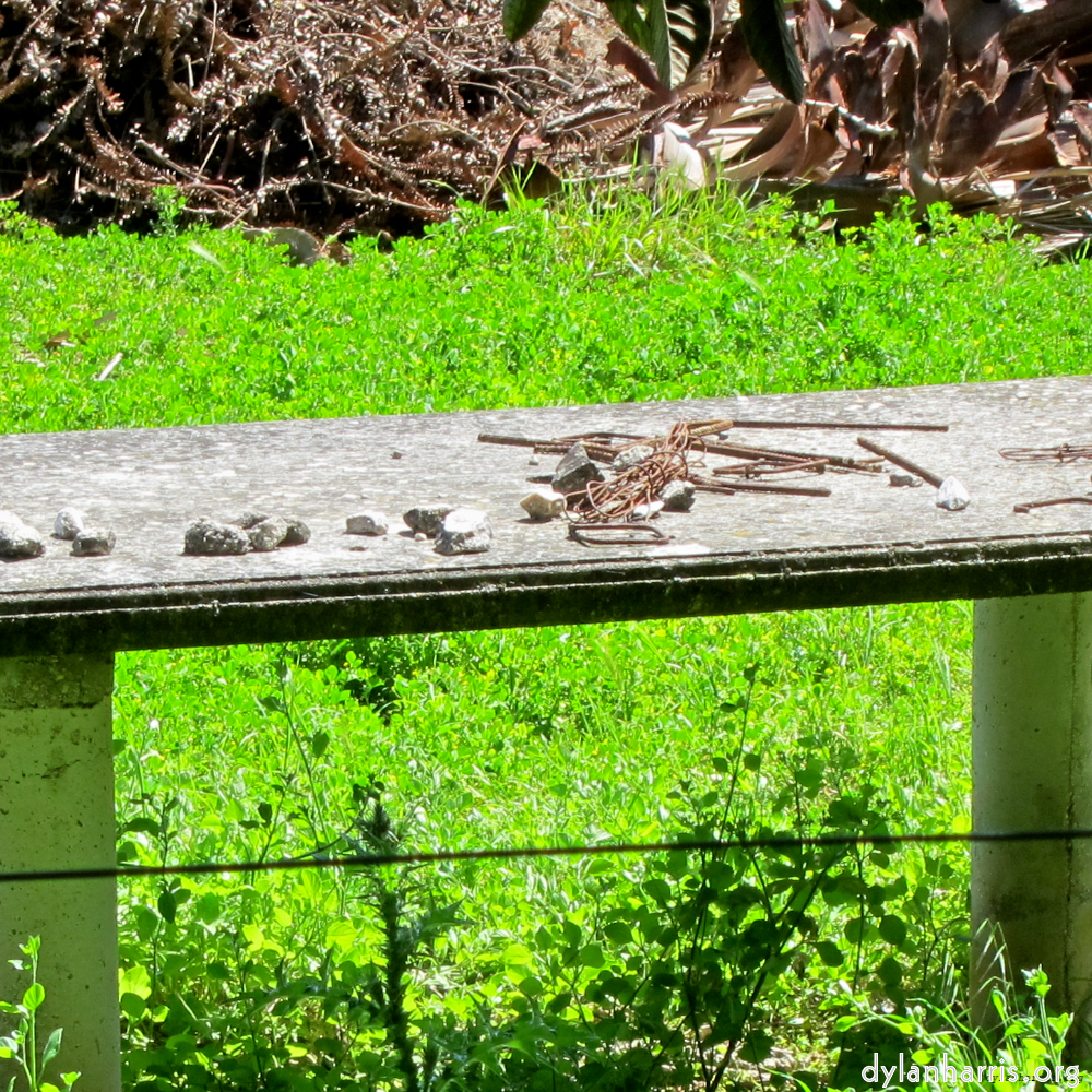 Image: Image 'parc (xxx) 3'.