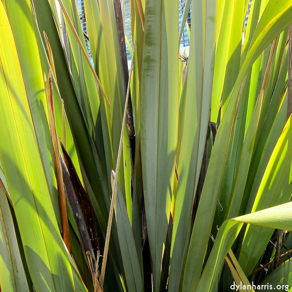 image: This is &lsquo;park (xxx) 5&rsquo;.