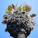 Image: Fourth image from the photoset 'parc (xxx)'.