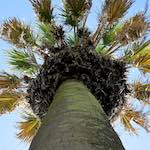 Image: Sixth image from the photoset 'parc (xxx)'.