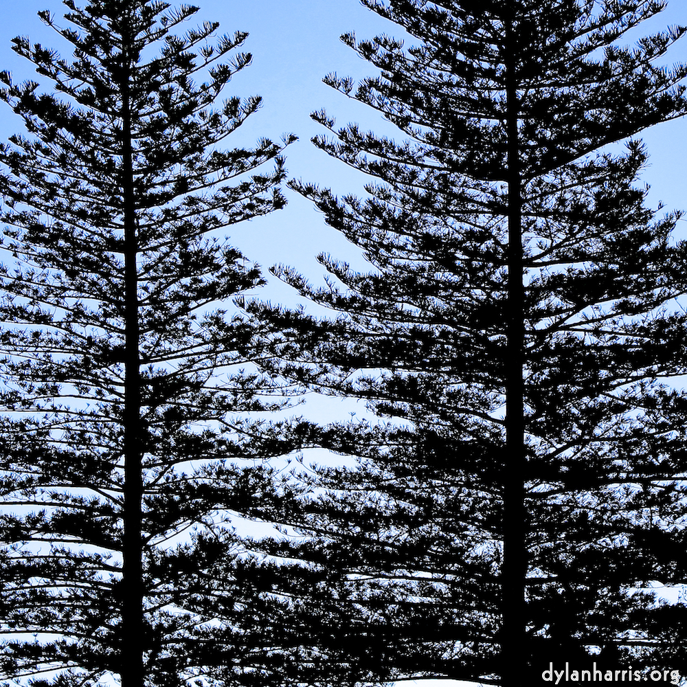 image: This is &lsquo;sintra 3&rsquo;.