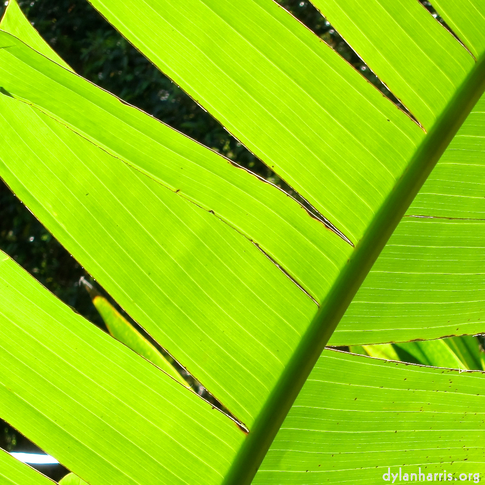 image: This is &lsquo;sintra 4&rsquo;.