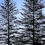 image: Image from the photoset &lsquo;sintra&rsquo;.