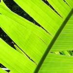 image: Image from the photoset &lsquo;sintra&rsquo;.