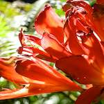 image: Image from the photoset &lsquo;sintra&rsquo;.