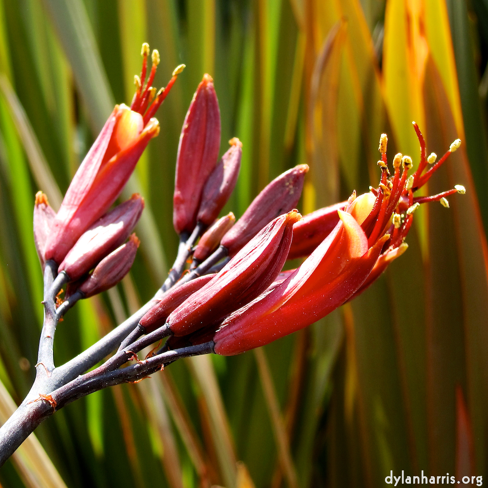 image: This is &lsquo;lisbon (vi) 6&rsquo;.