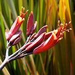 image: Image from the photoset &lsquo;lisbon (vi)&rsquo;.