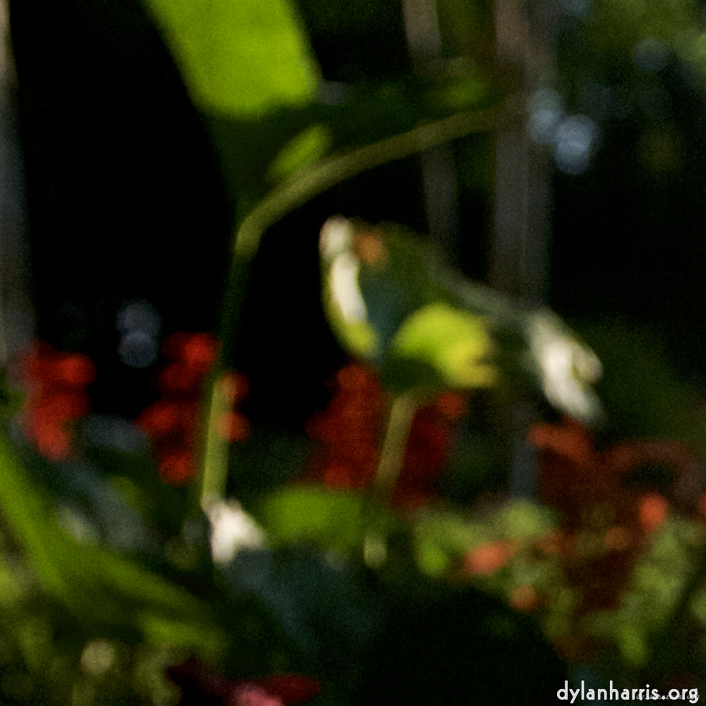 Image: Image 'parc (xix) 2'.