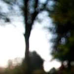 Image: First image from the photoset 'parc (xix)'.