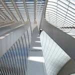 Second image from the photoset 'li&egrave;ge'.