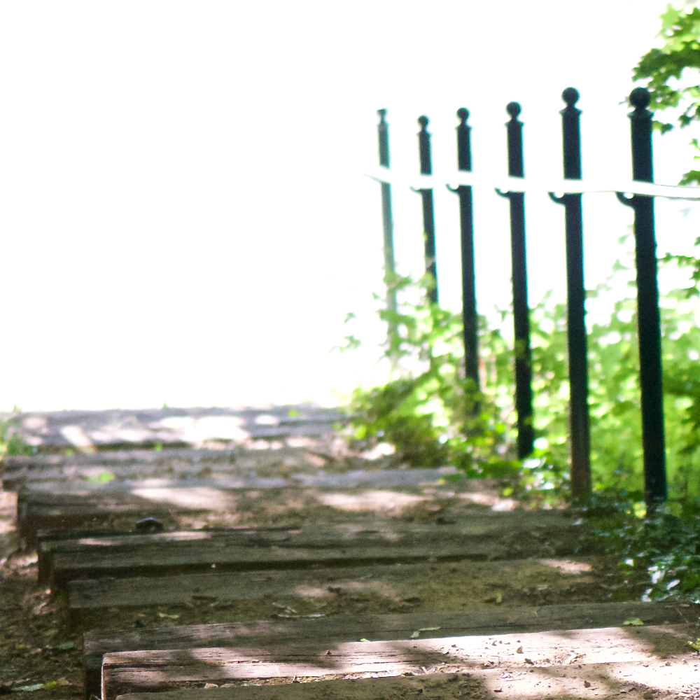 Image: Image 'parc (xxxi) 3'.