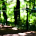 Image: Second image from the photoset 'parc (xxxi)'.