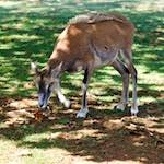 Image: First image from the photoset 'esch&ndash;sur&ndash;alzette (xix)'.