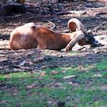 Image: Second image from the photoset 'esch&ndash;sur&ndash;alzette (xix)'.