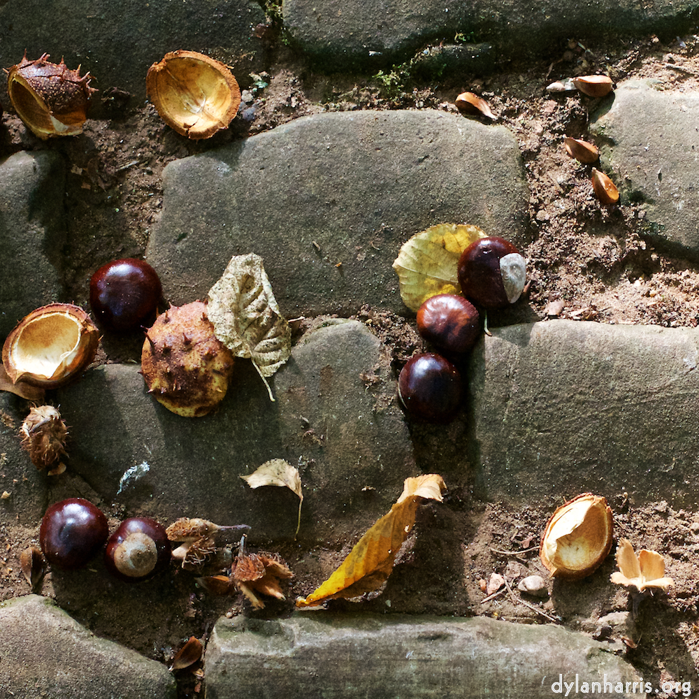 image: This is &lsquo;autumn (i) 1&rsquo;.