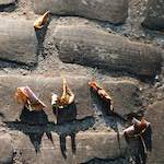 Fifth image from the photoset 'autumn (i)'.