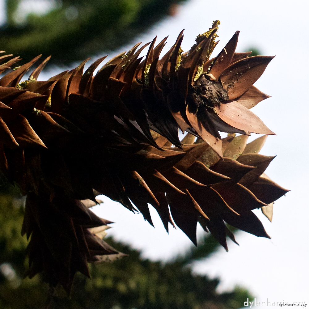 Image: Image 'parc (xiii) 2'.