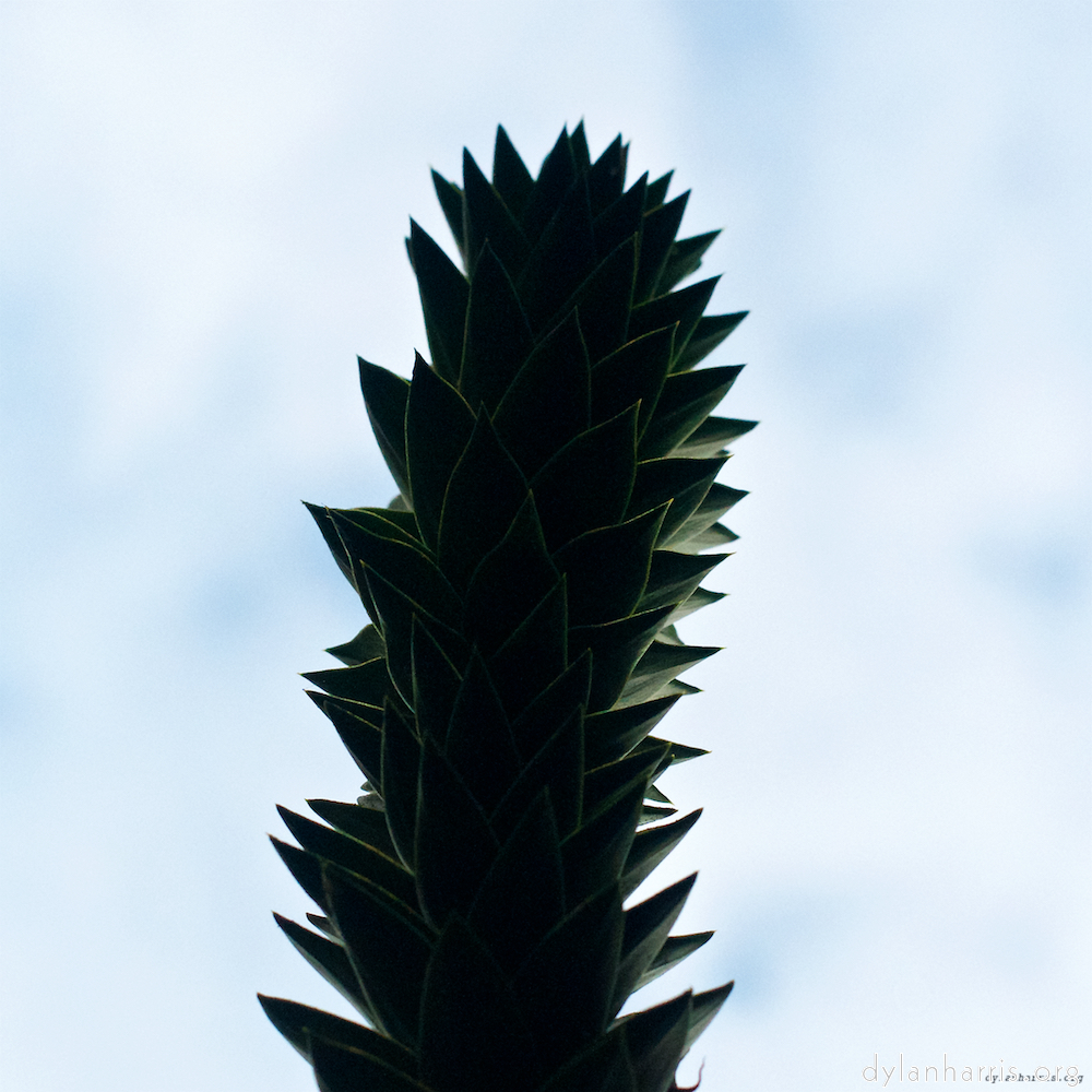 Image 'parc (xiii) 6'.