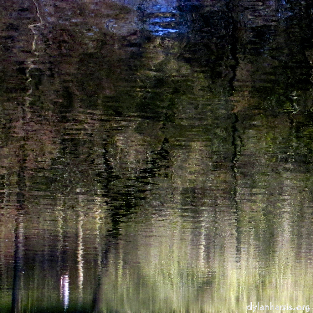 image: This is &lsquo;wood (xiv) 1&rsquo;.