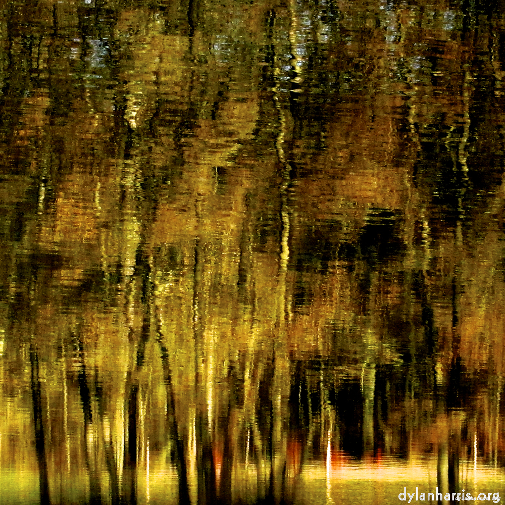 image: This is &lsquo;wood (xiv) 2&rsquo;.