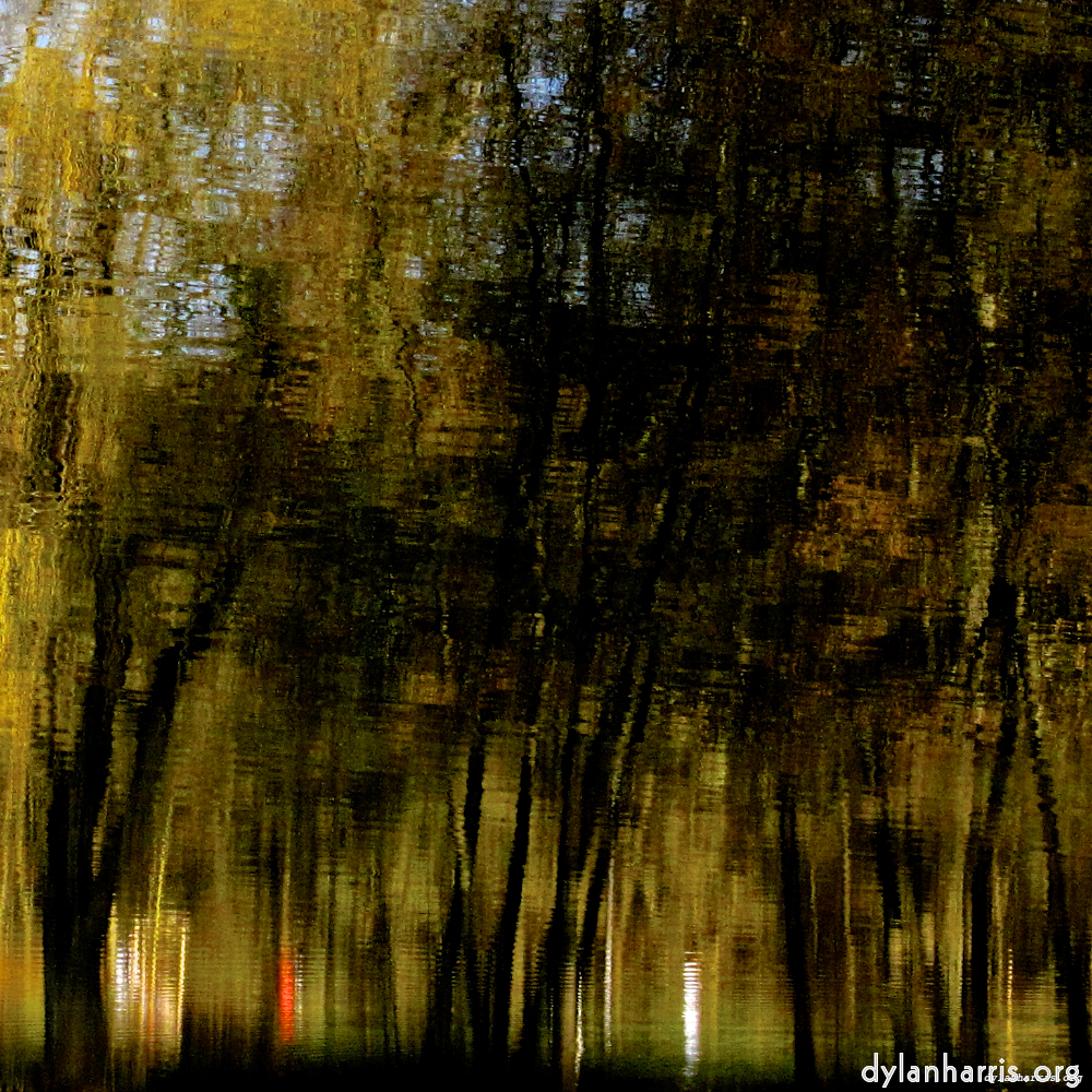 image: This is &lsquo;wood (xiv) 4&rsquo;.