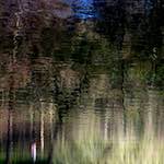 image: Image from the photoset &lsquo;wood (xiv)&rsquo;.