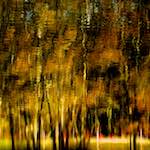 image: Image from the photoset &lsquo;wood (xiv)&rsquo;.