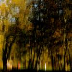 image: Image from the photoset &lsquo;wood (xiv)&rsquo;.