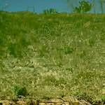 Image: Second image from the photoset 'grund (xiv)'.