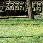 Image: Third image from the photoset 'grund (xiv)'.