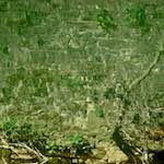 Image: Fifth image from the photoset 'grund (xiv)'.