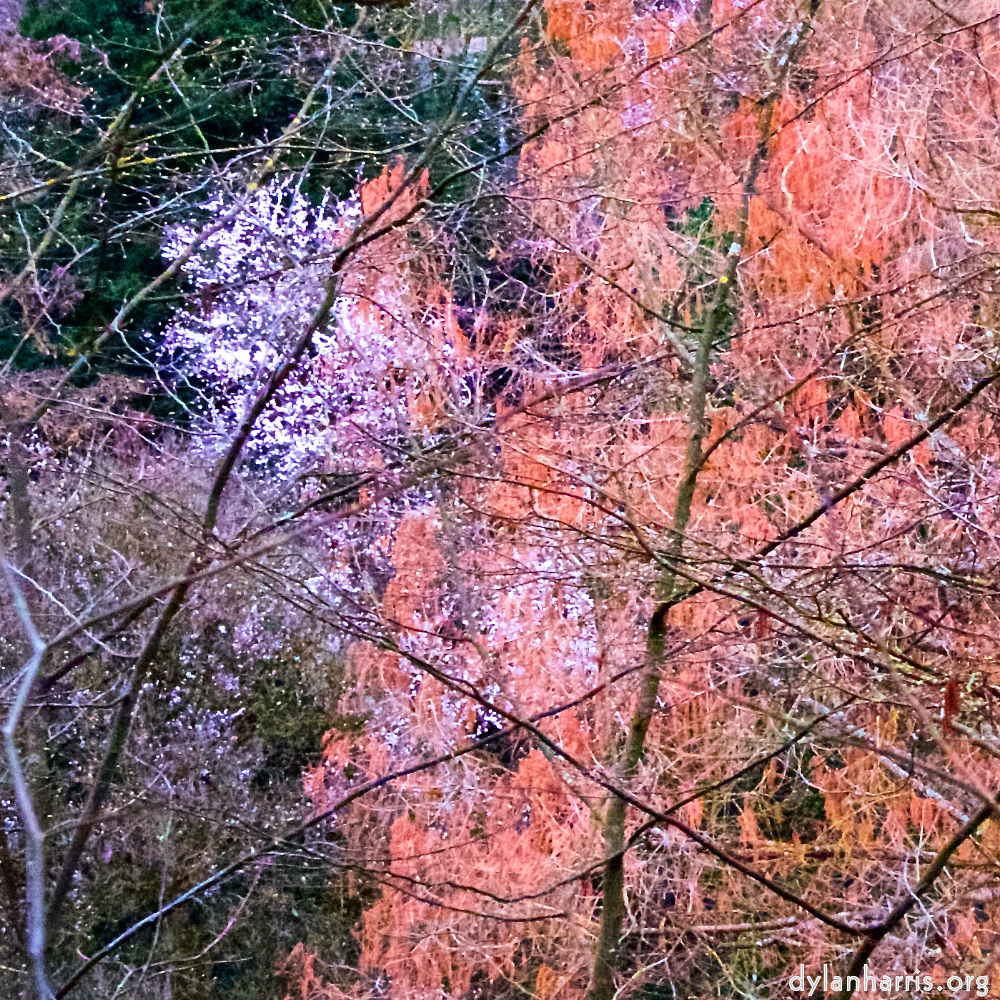 Image: Image 'spring 1'.