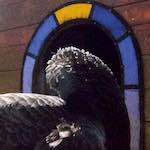 Fourth image from the photoset 'spring'.