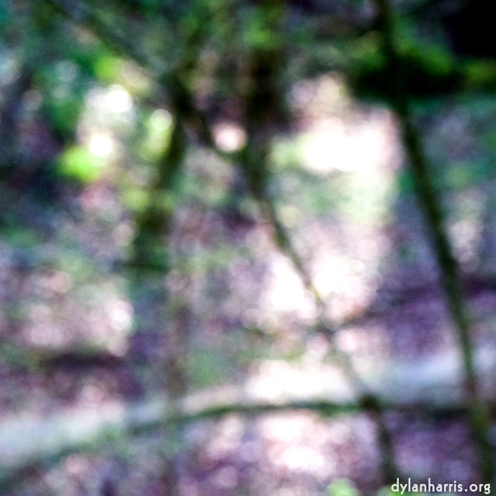 image: This is &lsquo;wood (xli) 2&rsquo;.