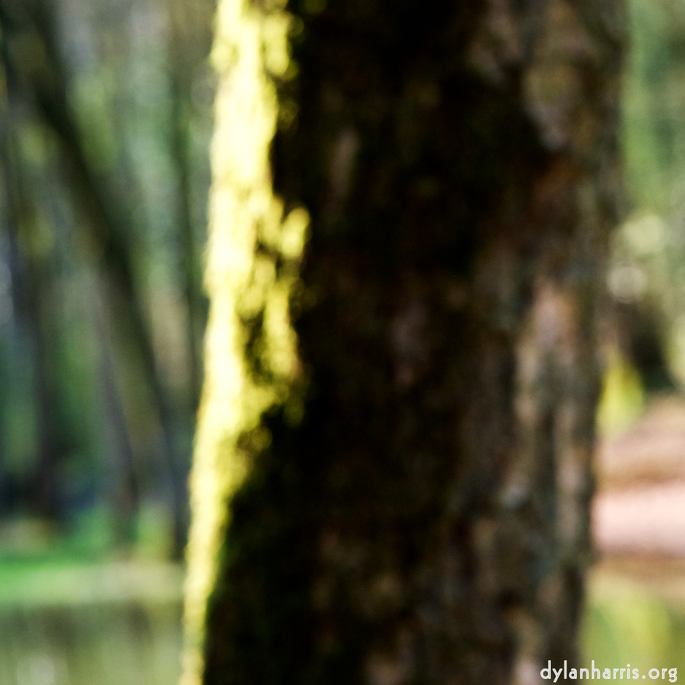 image: This is &lsquo;wood (xli) 3&rsquo;.