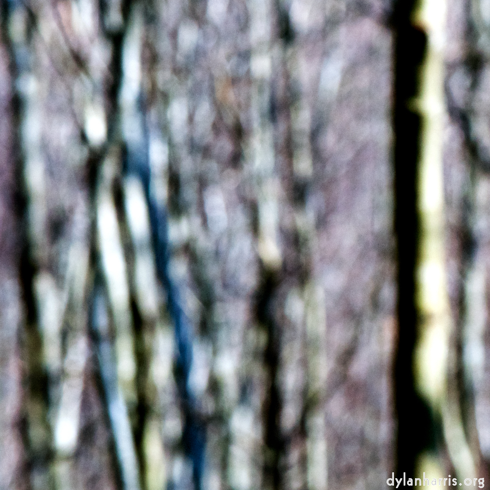 image: This is &lsquo;wood (xlii) 1&rsquo;.