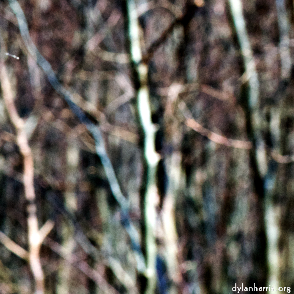 image: This is &lsquo;wood (xlii) 3&rsquo;.