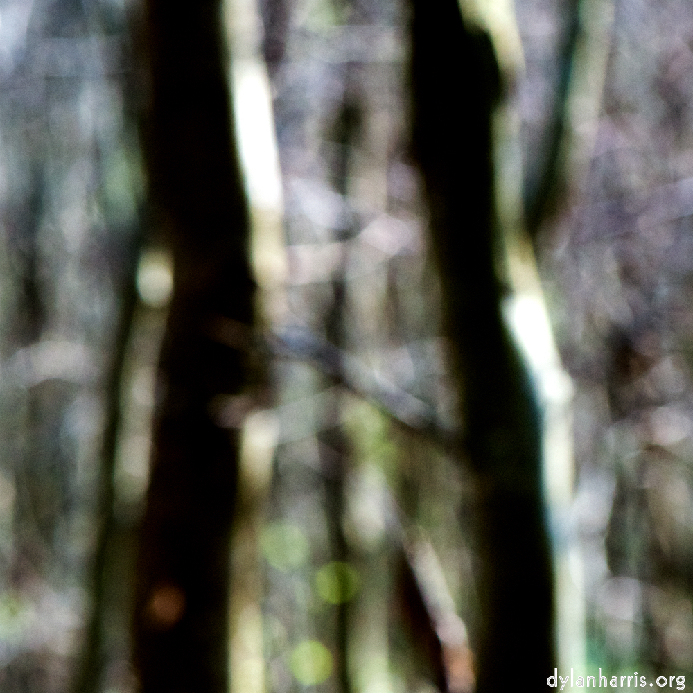 image: This is &lsquo;wood (xlii) 4&rsquo;.